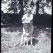 Sherry Kuhn Photo 20