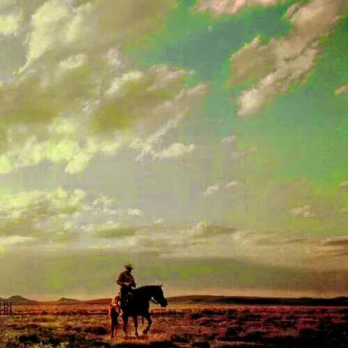 Steve Aldridge Photo 35