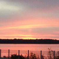 Michelle Sherman Photo 15