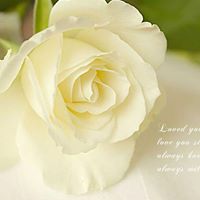 Colleen Joseph Photo 13
