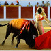 Jose Villanueva Photo 26