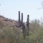 Robert Knox Photo 15