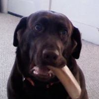 Stephen Crowe Photo 48 Stephen Crowe Photo 48