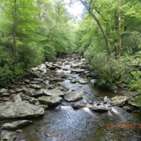 Robin Craig Photo 23