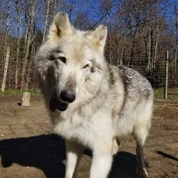 Cheryl Santos Photo 18