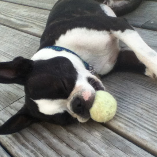 Terri Graham Photo 44