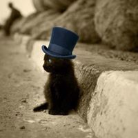 Maryann Meade Photo 6