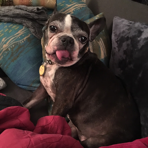 Mary Ferris Photo 11