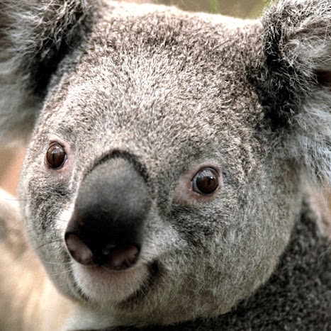 Nicholas Wilder Photo 9