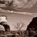Michael Groh Photo 28