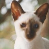 Patricia Bernhardt Photo 20