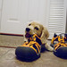 Sandy Keener Photo 27