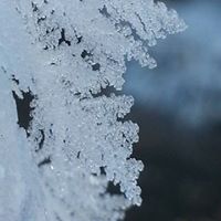 Crystal Warner Photo 17