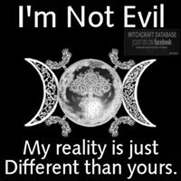 Stephanie Jacques Photo 6