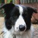 Aimee Hoover Photo 19