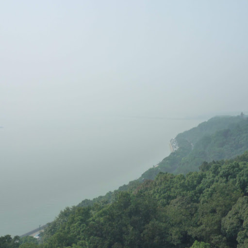 Richard Weller Photo 43