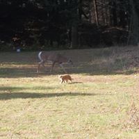 Ralph Wilkinson Photo 26