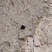 Mark Kerns Photo 16