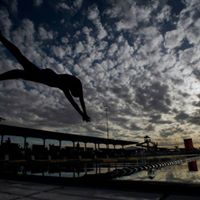 David Schafer Photo 43