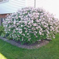 Nancy Sutherland Photo 20