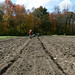 Marcia Fields Photo 33