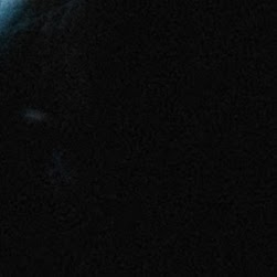 Dan Hampton Photo 41