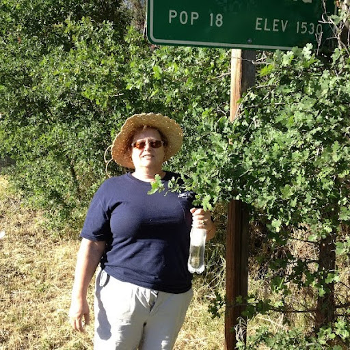 Kathy Wyatt Photo 26