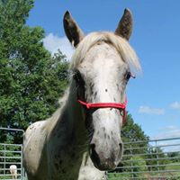 Kathleen Billings Photo 16