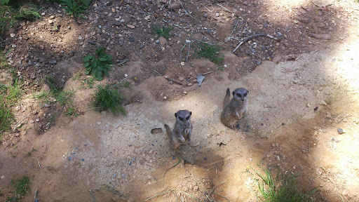 Tracy Herbert Photo 7