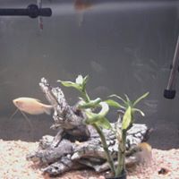 Margaret Archer Photo 23