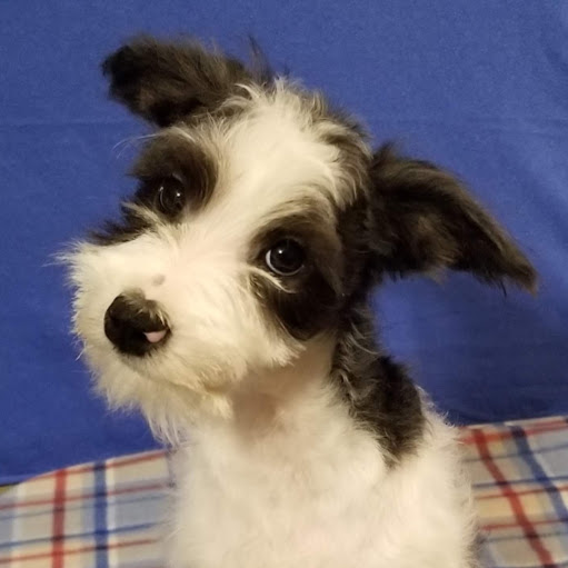 Lisa Brownell Photo 17