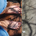 Elizabeth Free Photo 22