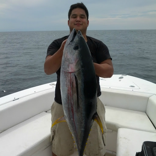 Andrew Peng Photo 31 Andrew Peng Photo 31