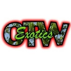 Gerald Mcgee Photo 16