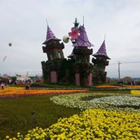 Ching Lau Photo 10