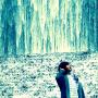 Jason Zhang Photo 32