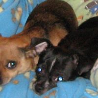 Kristina Kauffman Photo 6