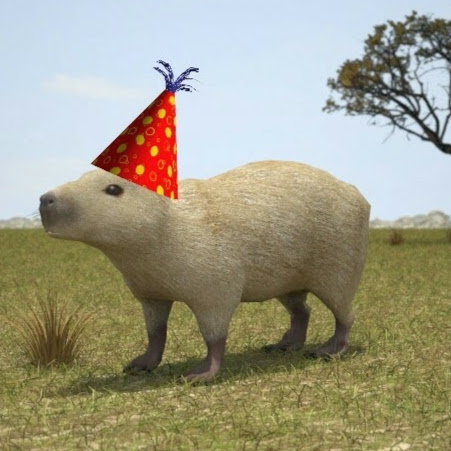 Sally Bailey Photo 13