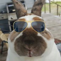 Kelly Gilbert Photo 18