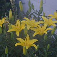 Stephanie Berlin Photo 17