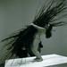 Ron Hayward Photo 10