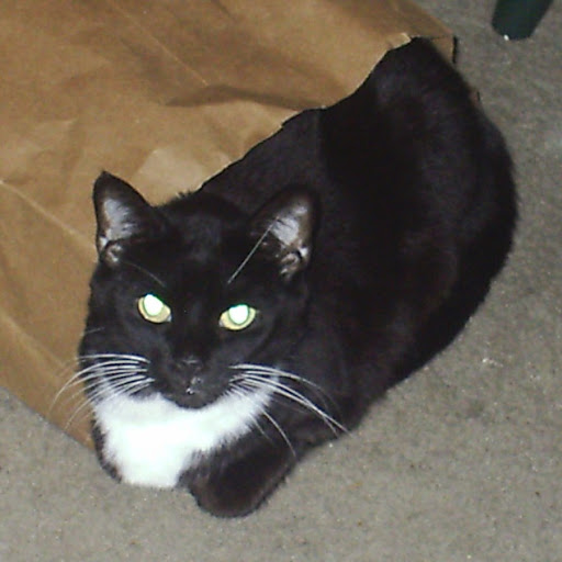 William Rust Photo 27