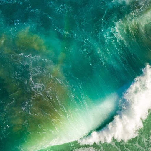 Julian Wilson Photo 40