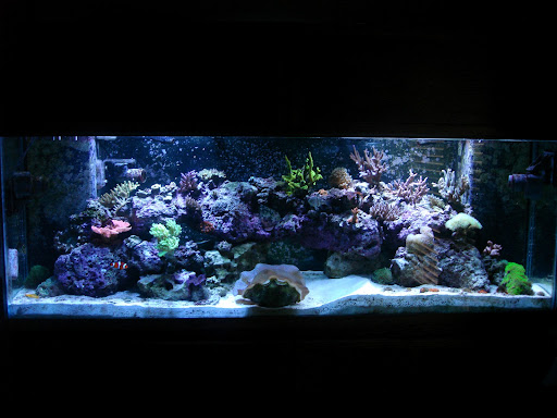 John Witkowski Photo 20