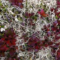 Julie Burkett Photo 21