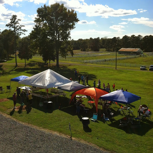 Cindy Hudson Photo 19