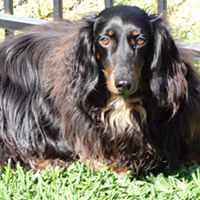 Darlene Greene Photo 19
