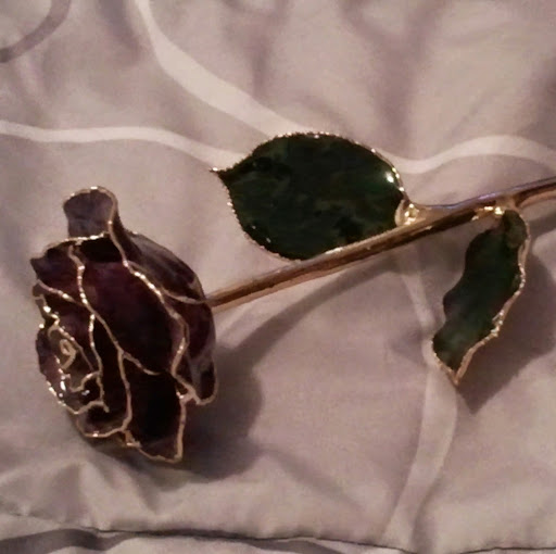 Jessica Hicks Photo 8