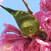 Lisa Longo Photo 14