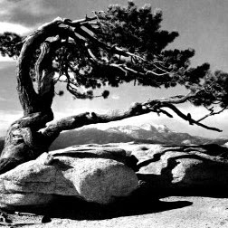 Denise Lake Photo 17